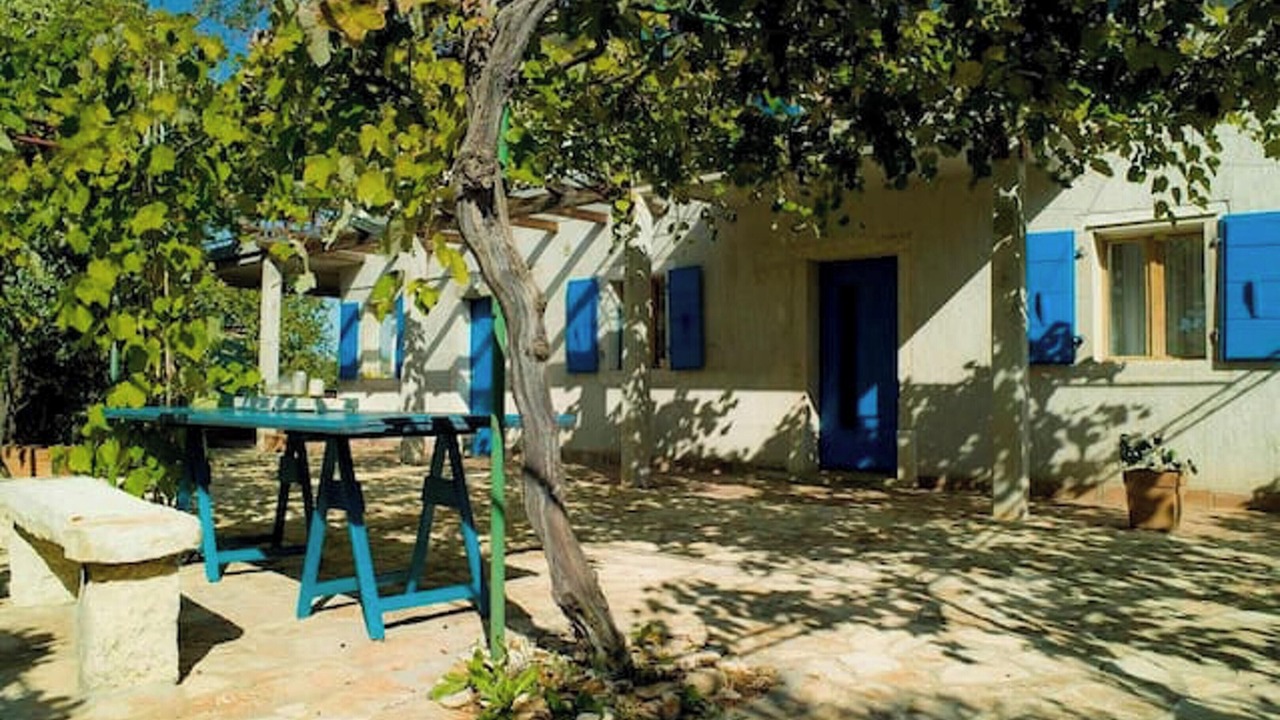 Photo of Others in Zambratija