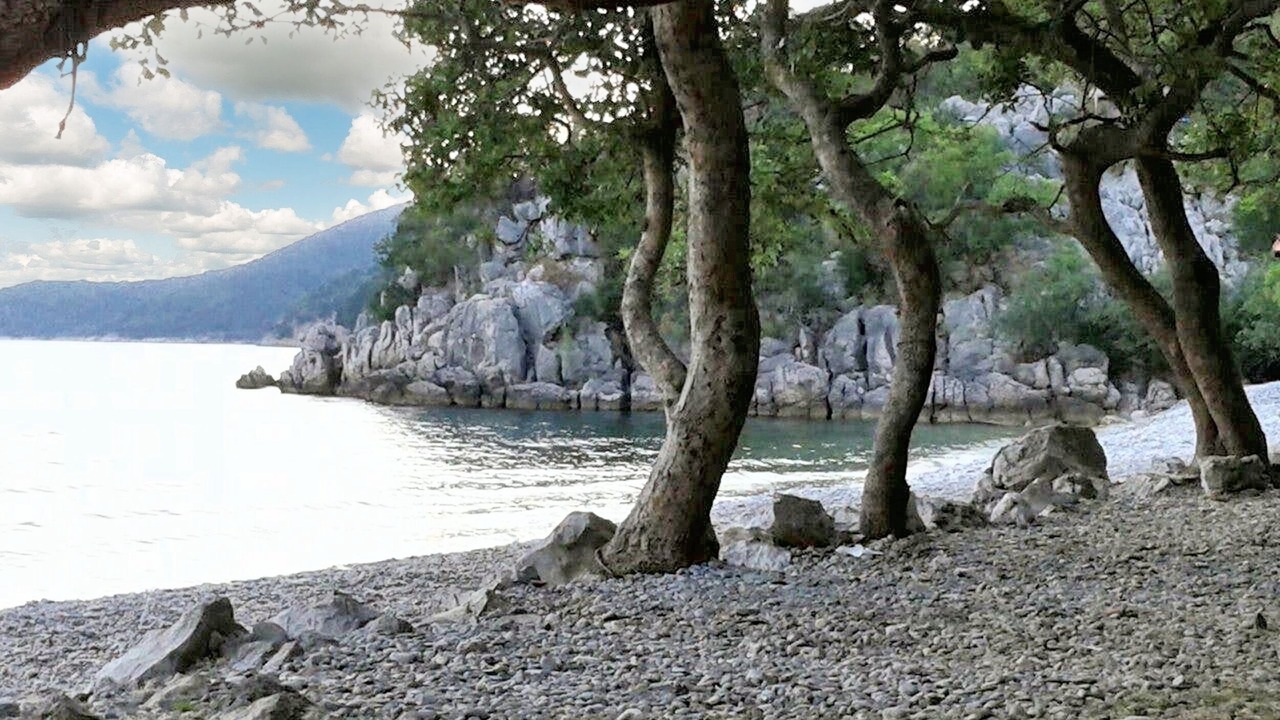 Photo of Others in Cres