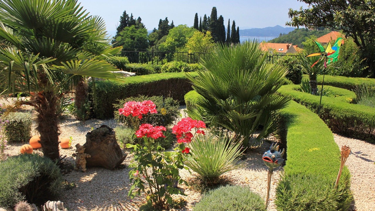 Photo of Outdoor in Trsteno