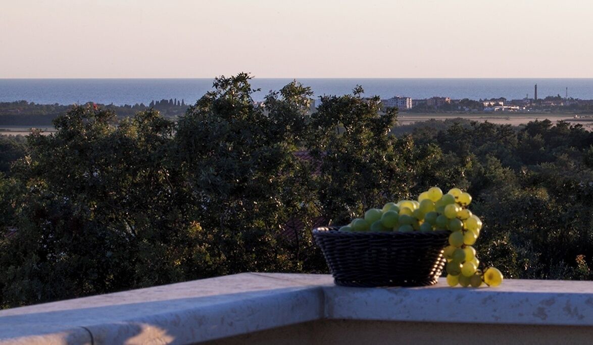 Photo of Outdoor in Vilanija