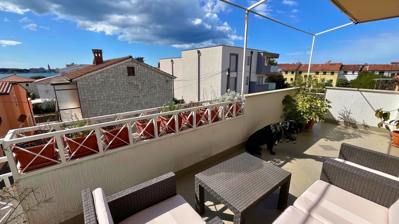 Photo of Outdoor in Murine
