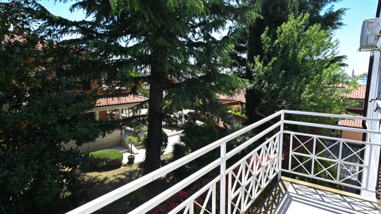 Photo of Outdoor in Murine