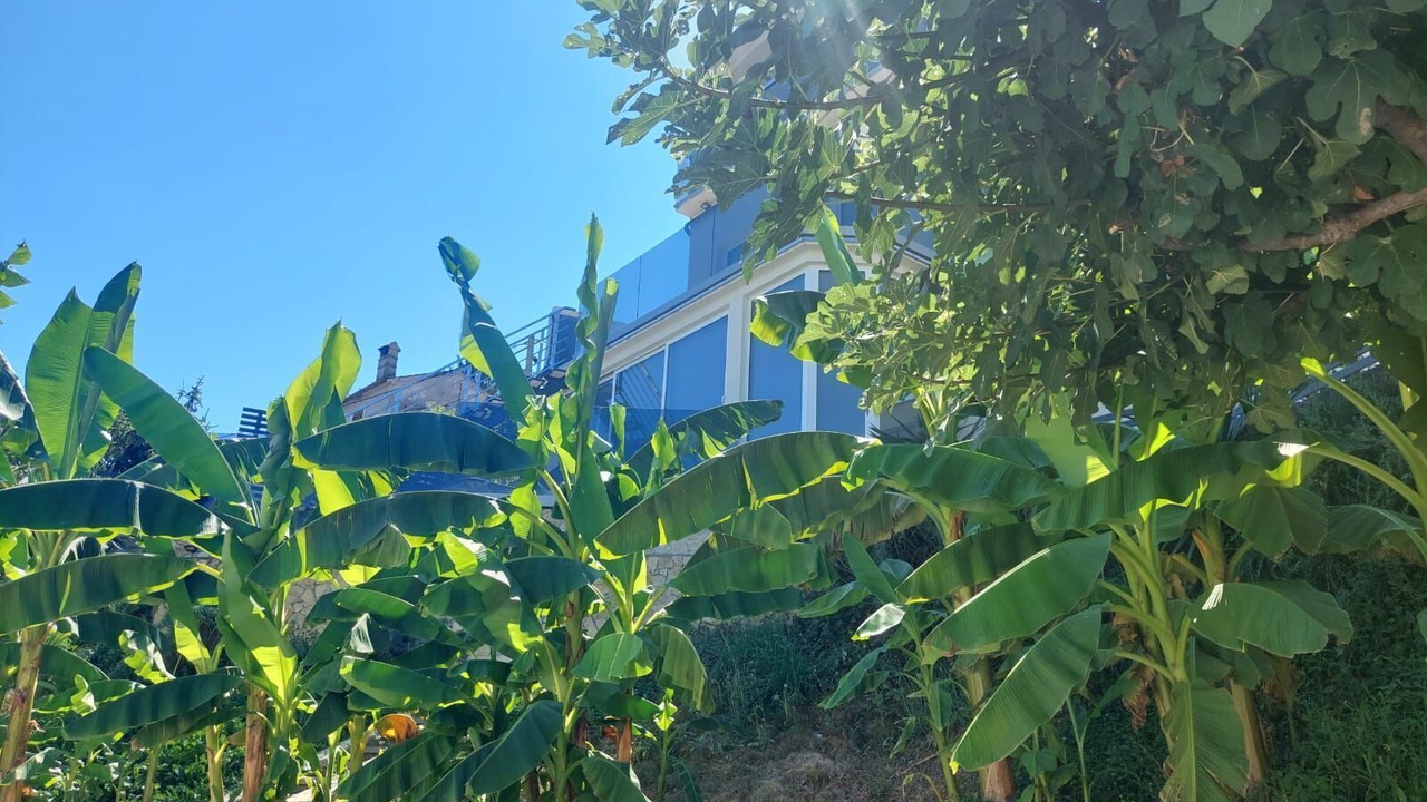 Photo of Outdoor in Mihotici