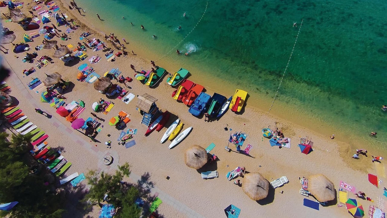 Photo of Others in Vidalici