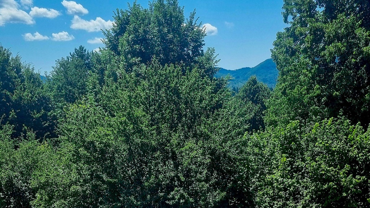 Photo of Others in Brod Moravice