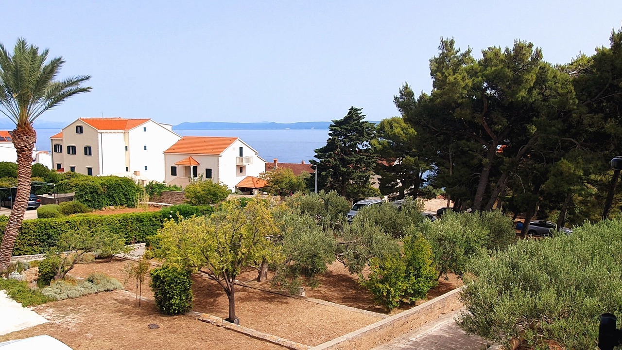Photo of Others in Cove Basina (Jelsa)