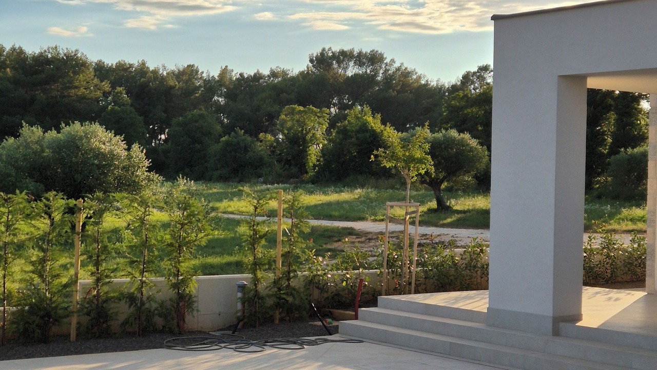Photo of Outdoor in Kurili
