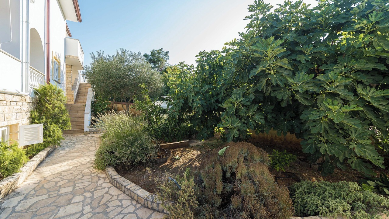 Photo of Outdoor in Lukoran