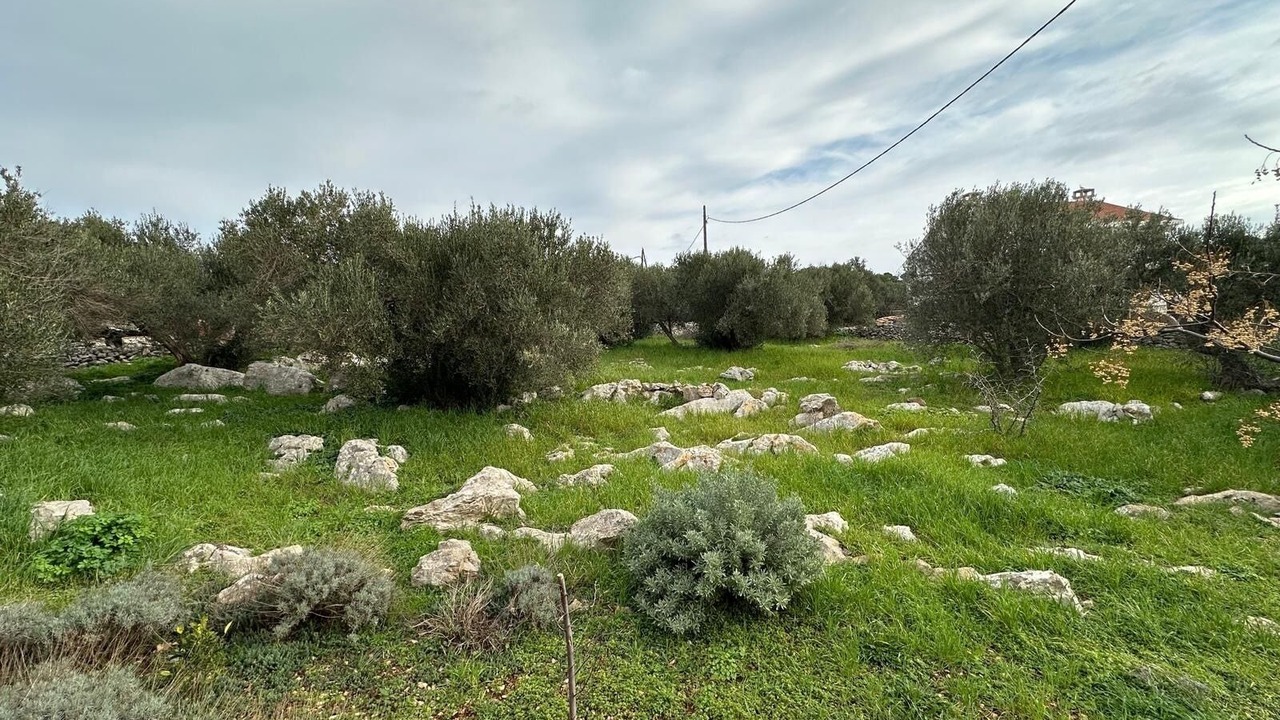 Photo of Others in Bozava
