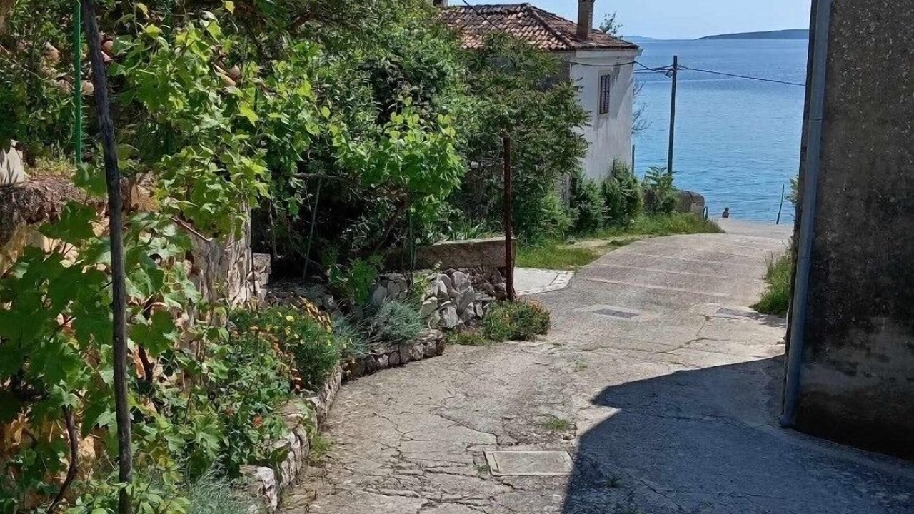 Photo of Outdoor in Martinscica