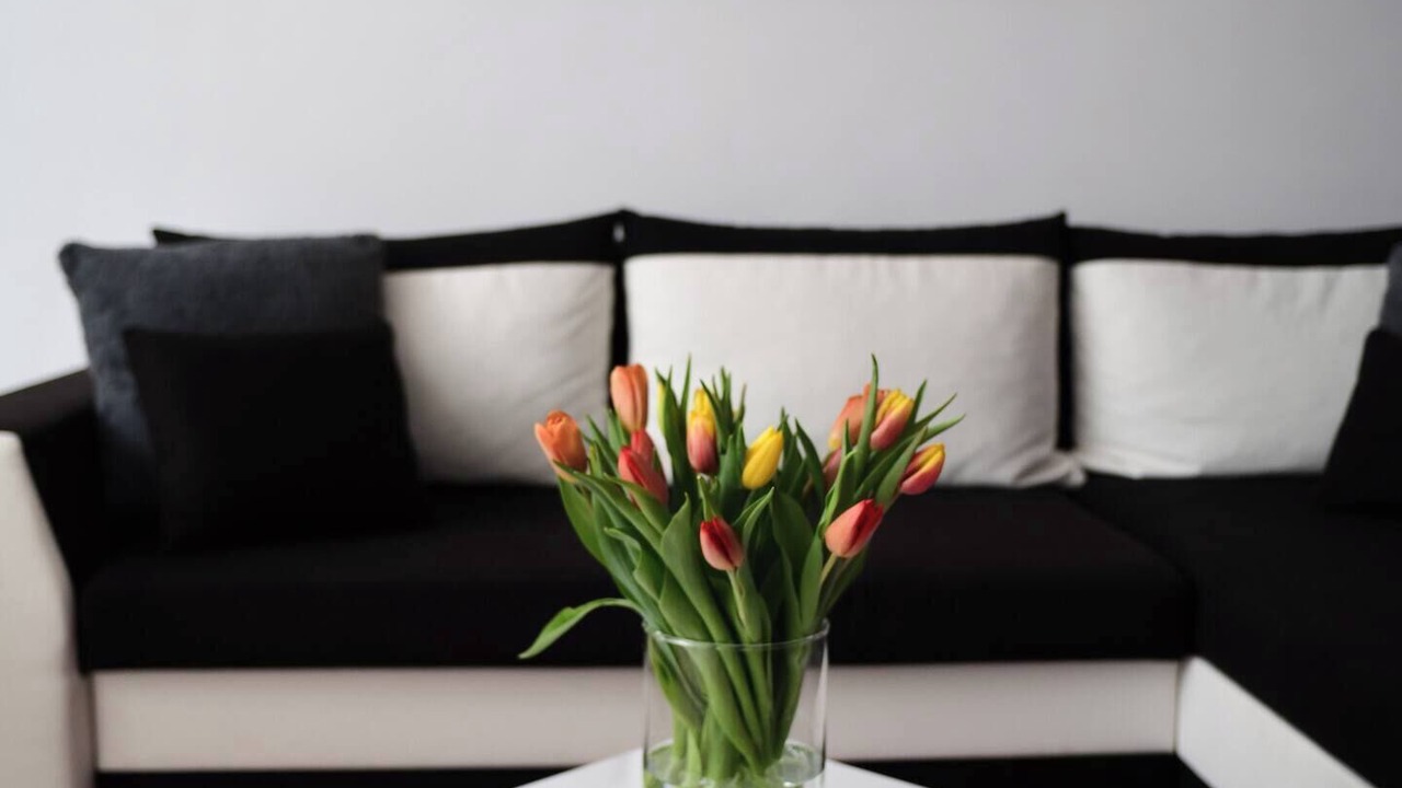 Photo of Livingroom in Gorica