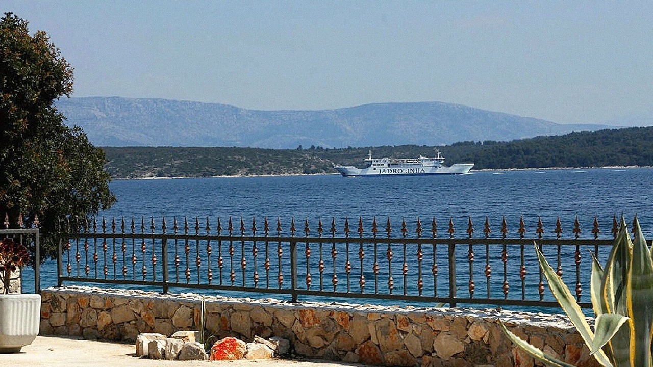 Photo of Others in Stari Grad