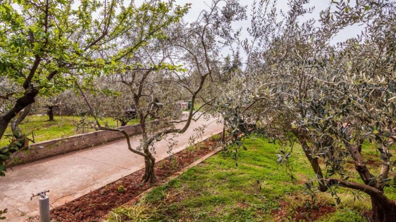 Photo of Outdoor in Susica