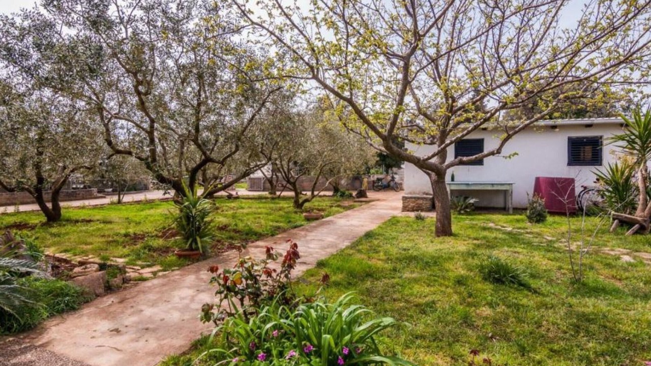 Photo of Outdoor in Susica