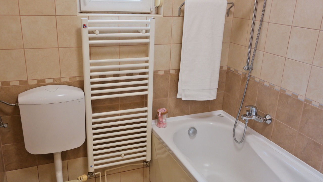 Photo of Bathroom in Buzdohanj
