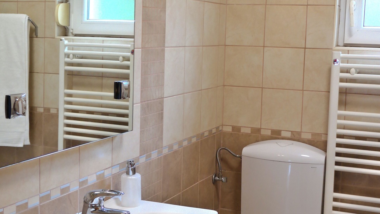 Photo of Bathroom in Buzdohanj