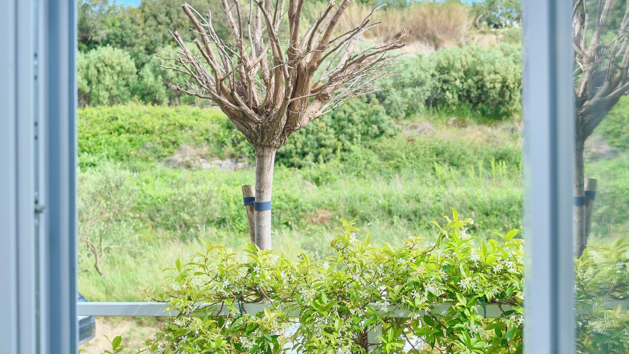 Photo of Others in Znjan
