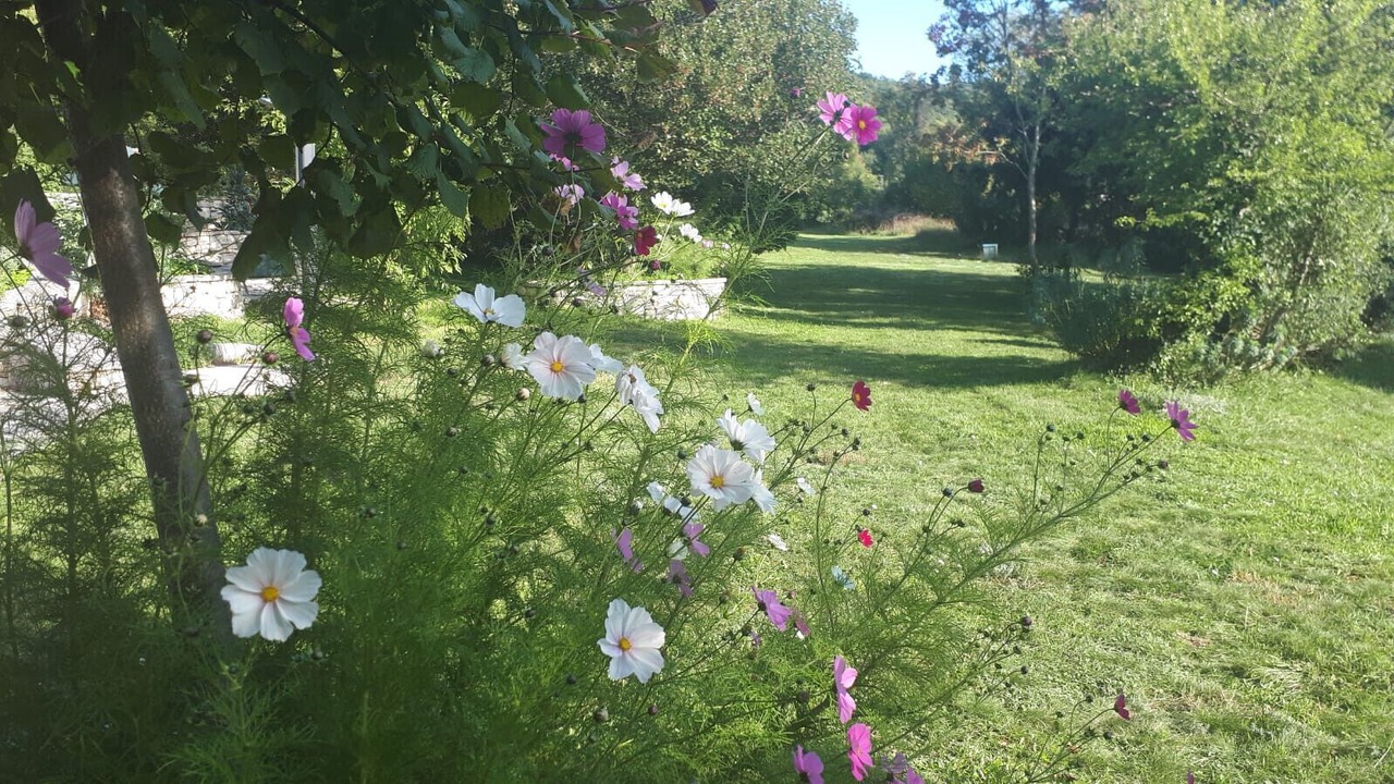 Photo of Outdoor in Brgod