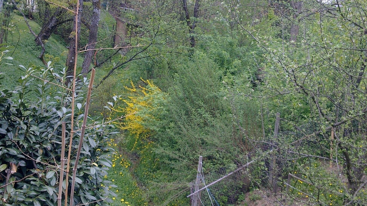 Photo of Outdoor in Ljubljana