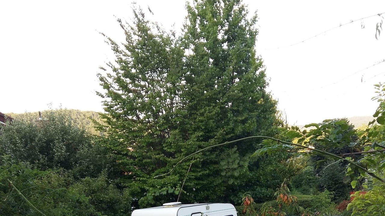 Photo of Outdoor in Ljubljana