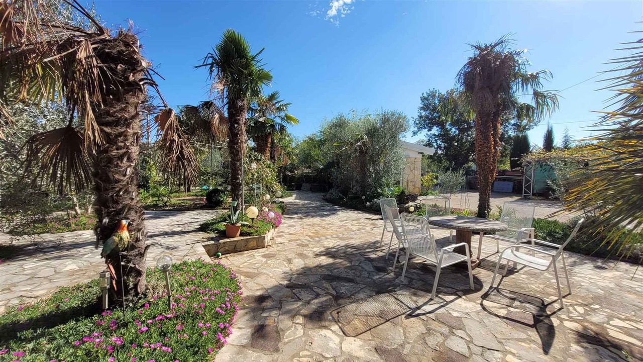 Photo of Outdoor in Milovcici