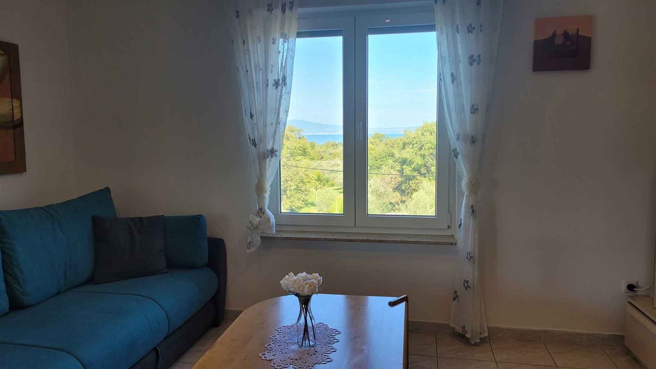 Photo of Livingroom in Milovcici