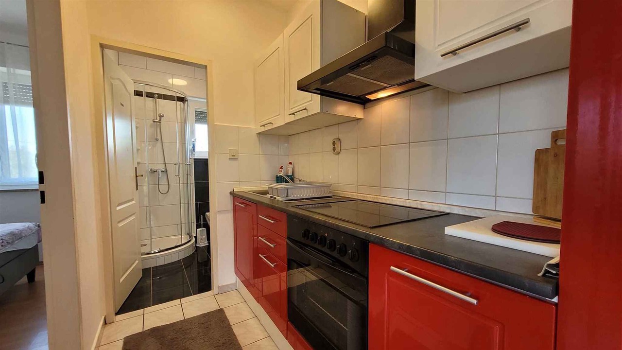 Photo of Kitchen in Milovcici