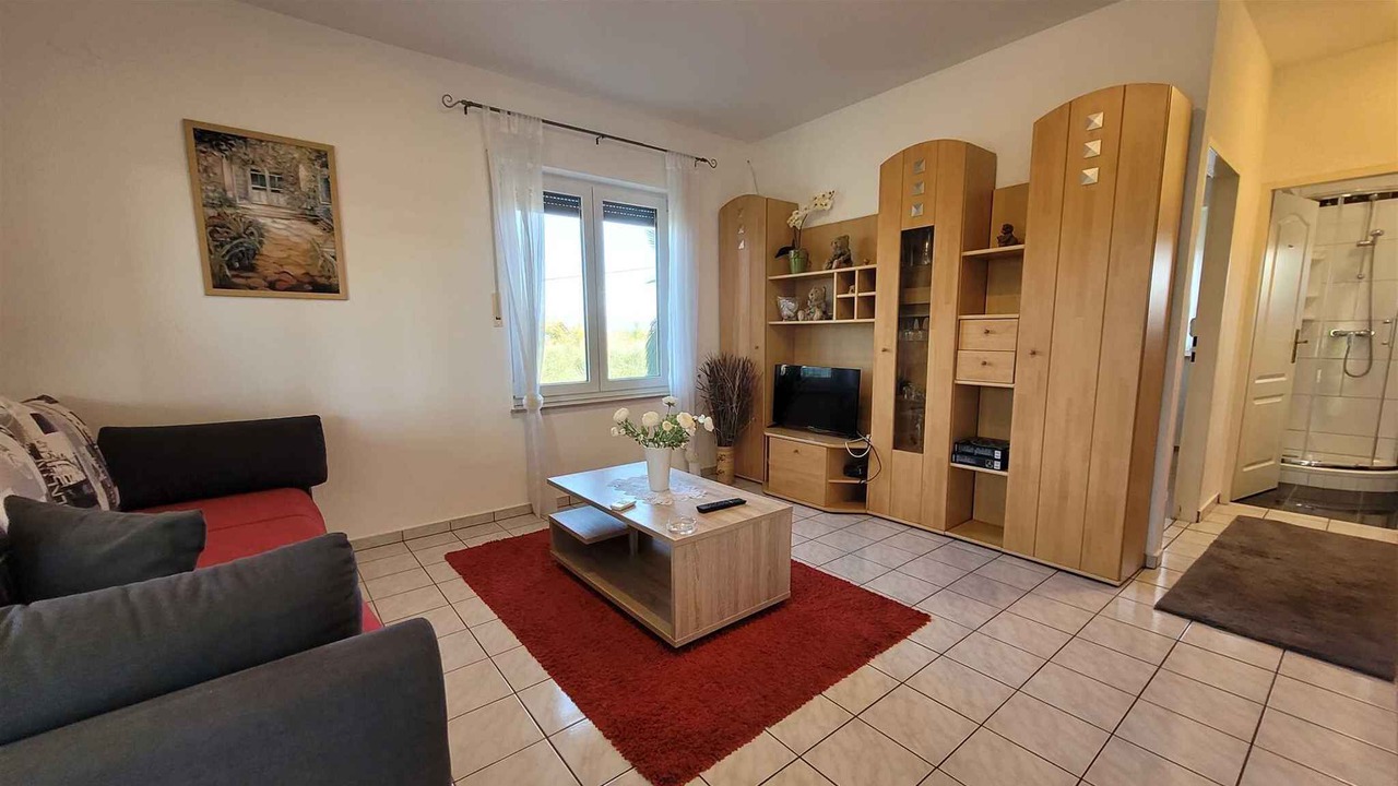 Photo of Livingroom in Milovcici