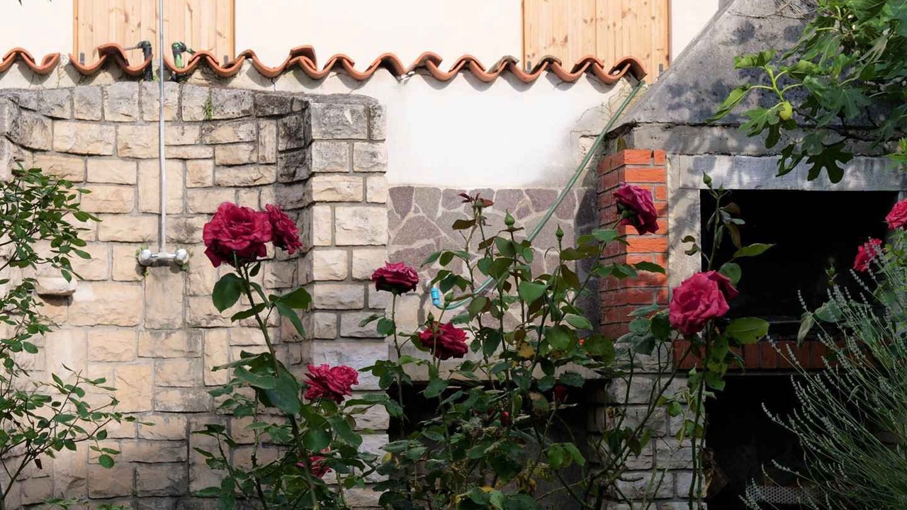 Photo of Outdoor in Krizine