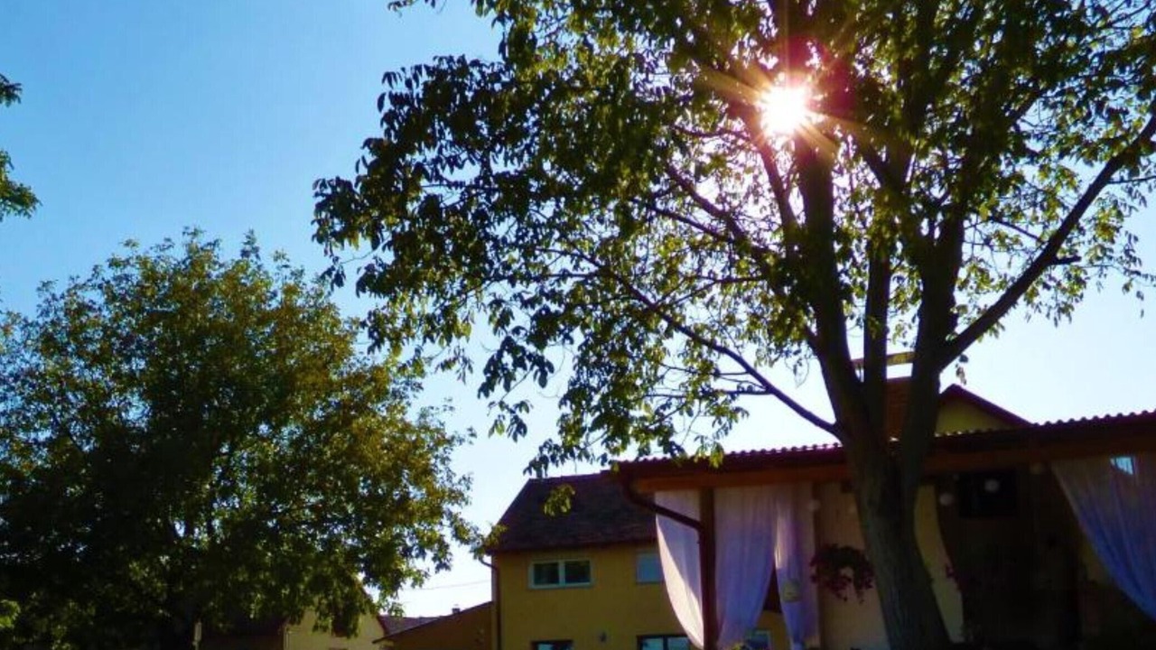 Photo of Outdoor in Kaptol