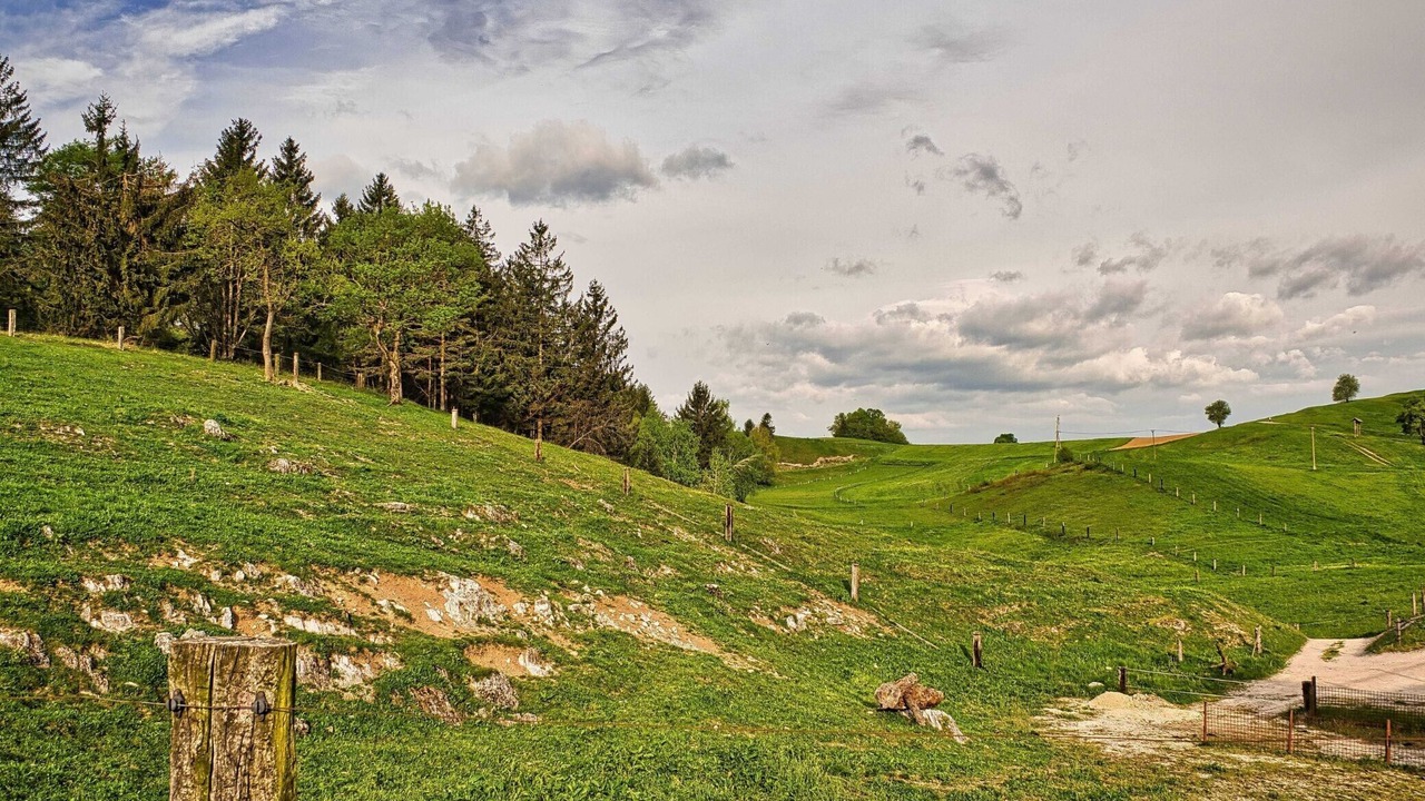 Photo of Outdoor in Ivancna Gorica