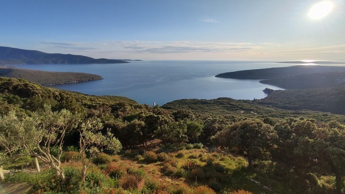 Photo of Others in Ustrine