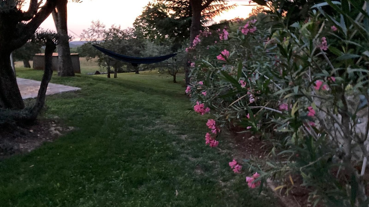 Photo of Outdoor in Vizinada