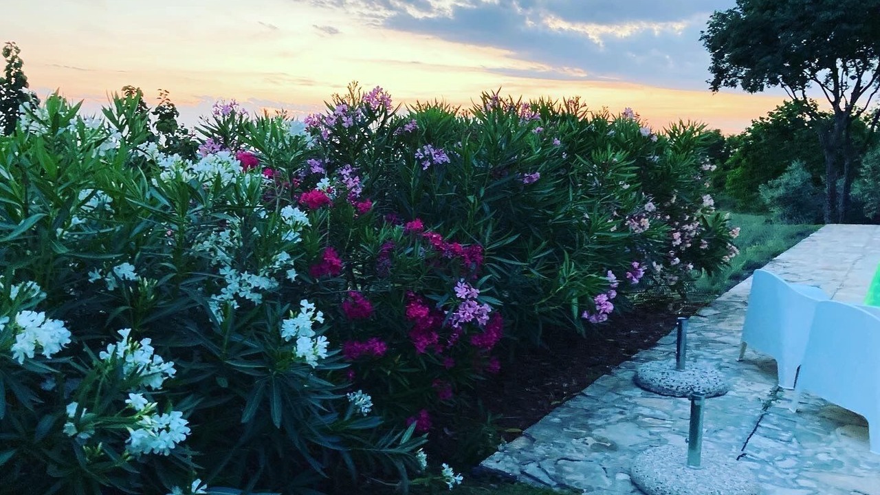 Photo of Outdoor in Vizinada