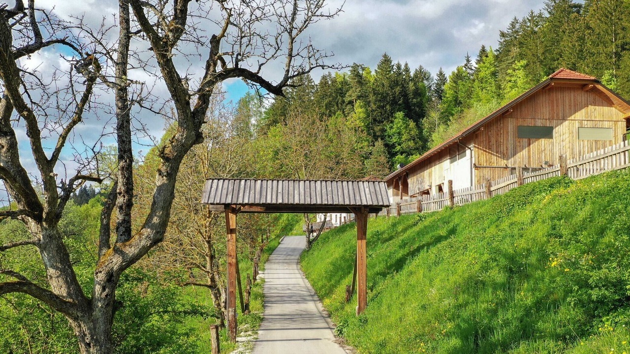 Photo of Outdoor in Slovenj Gradec