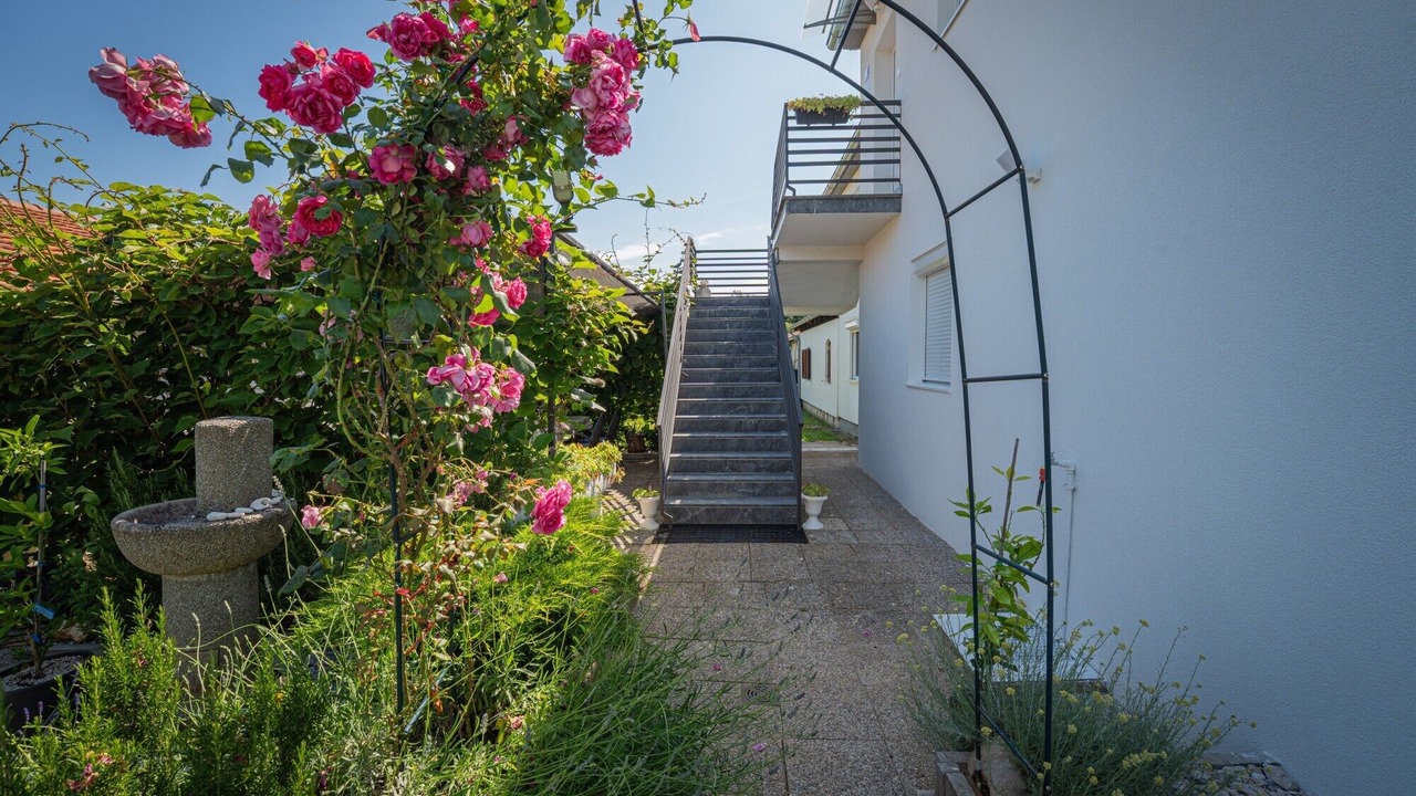Photo of Outdoor in Kosinozici