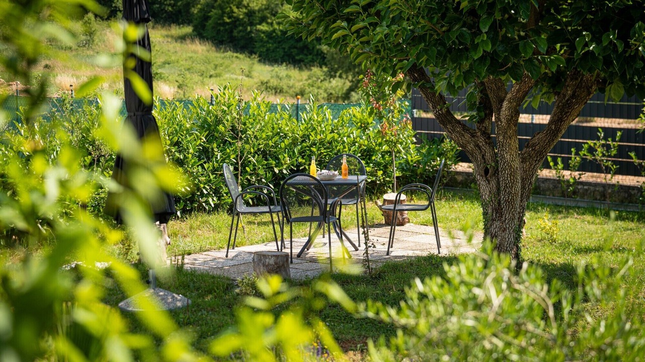 Photo of Outdoor in Kosinozici