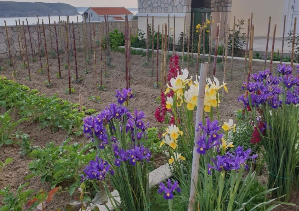 Photo of Outdoor in Rtina