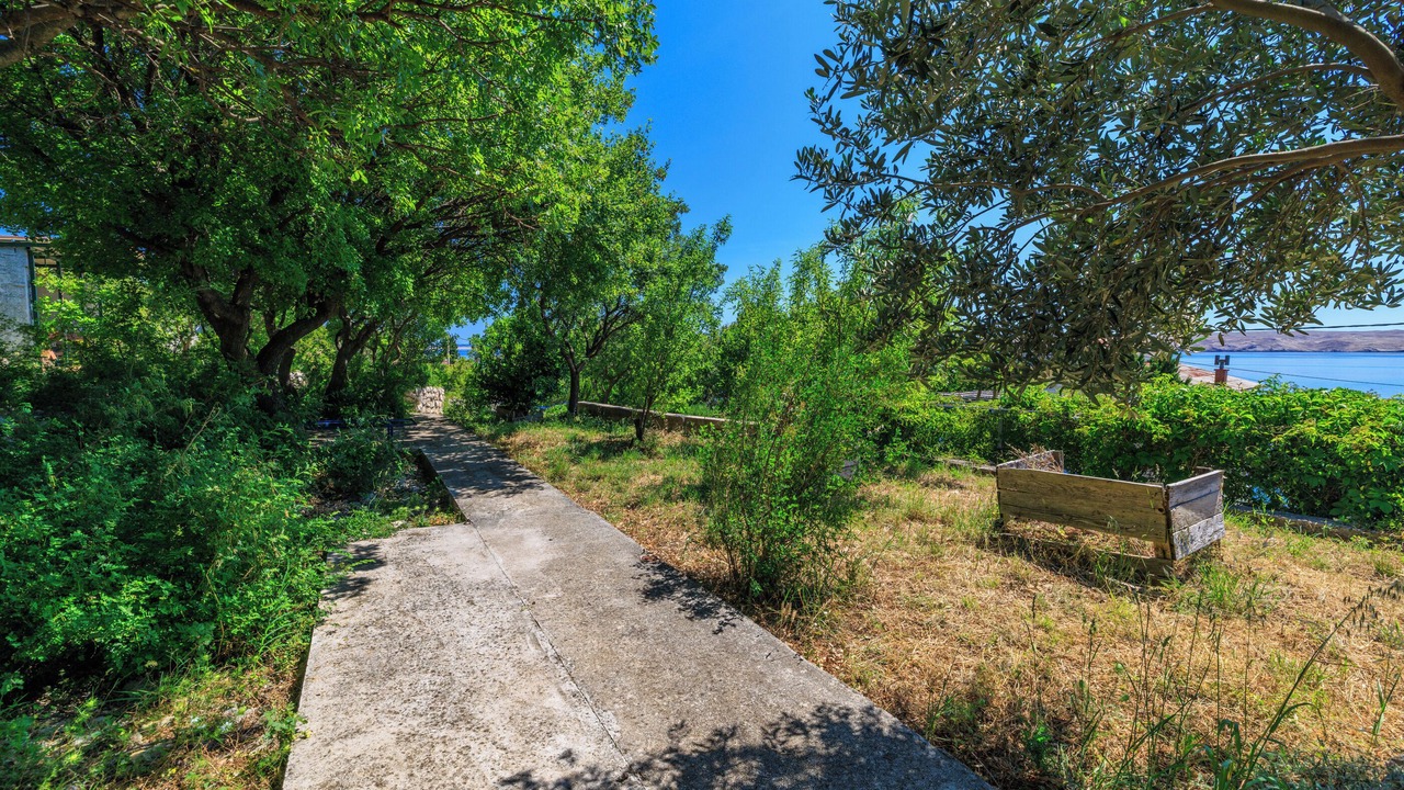 Photo of Others in Baric Draga
