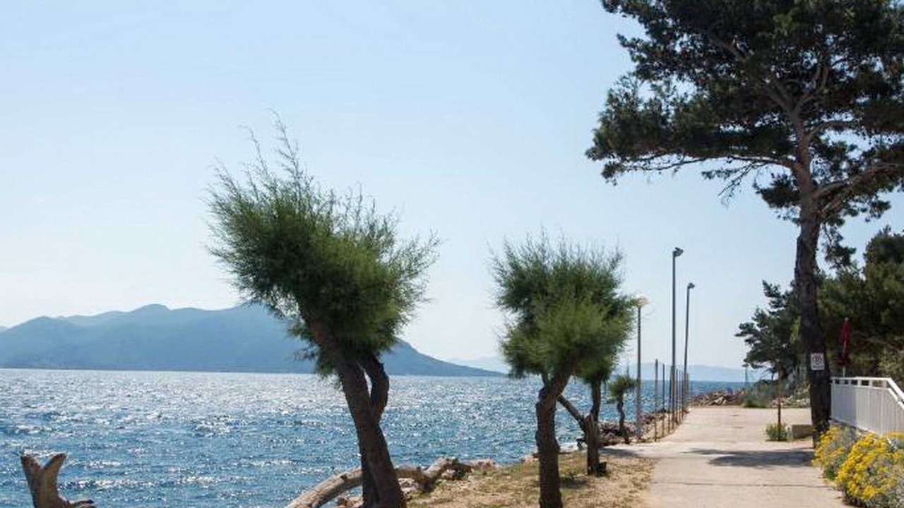 Photo of Others in Trstenik