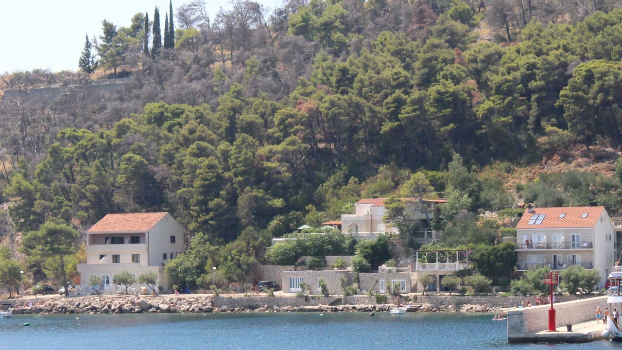 Photo of Others in Trstenik