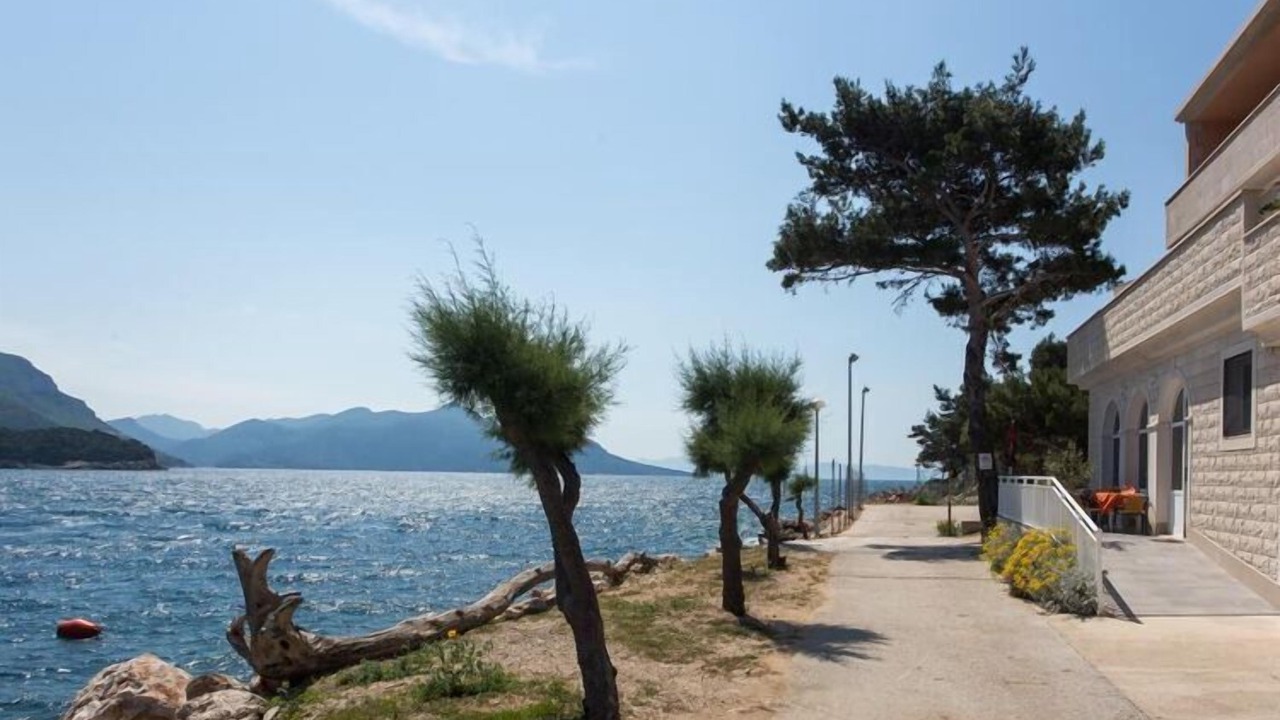 Photo of Others in Trstenik