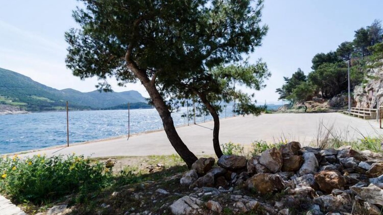Photo of Others in Trstenik