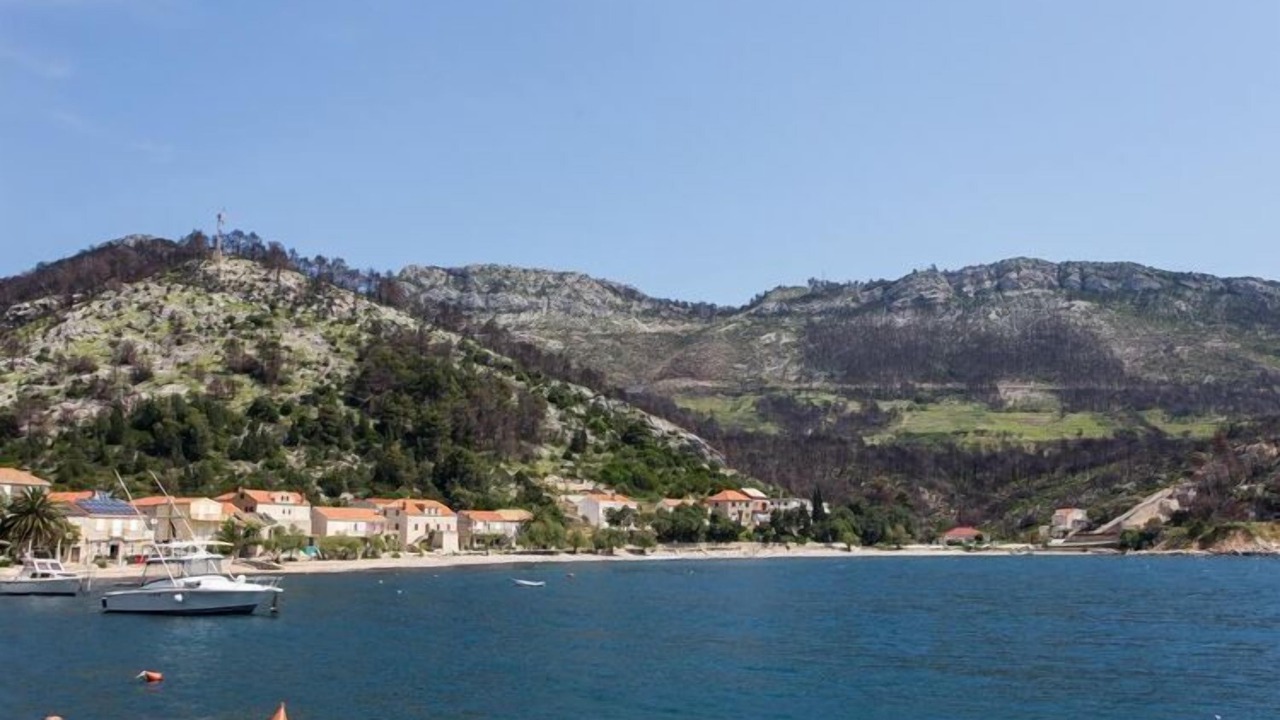 Photo of Others in Trstenik