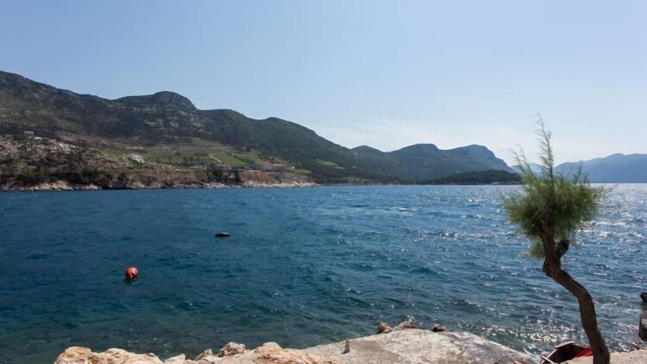 Photo of Others in Trstenik