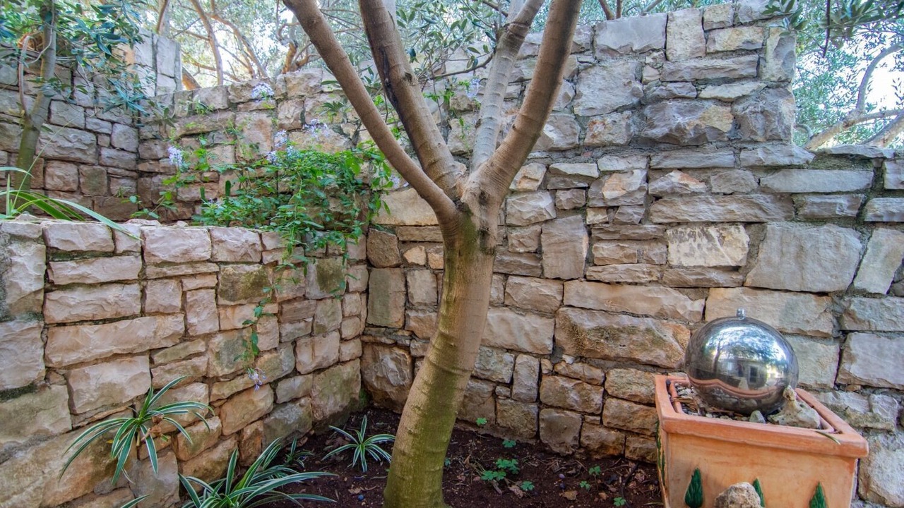 Photo of Outdoor in Stomorska