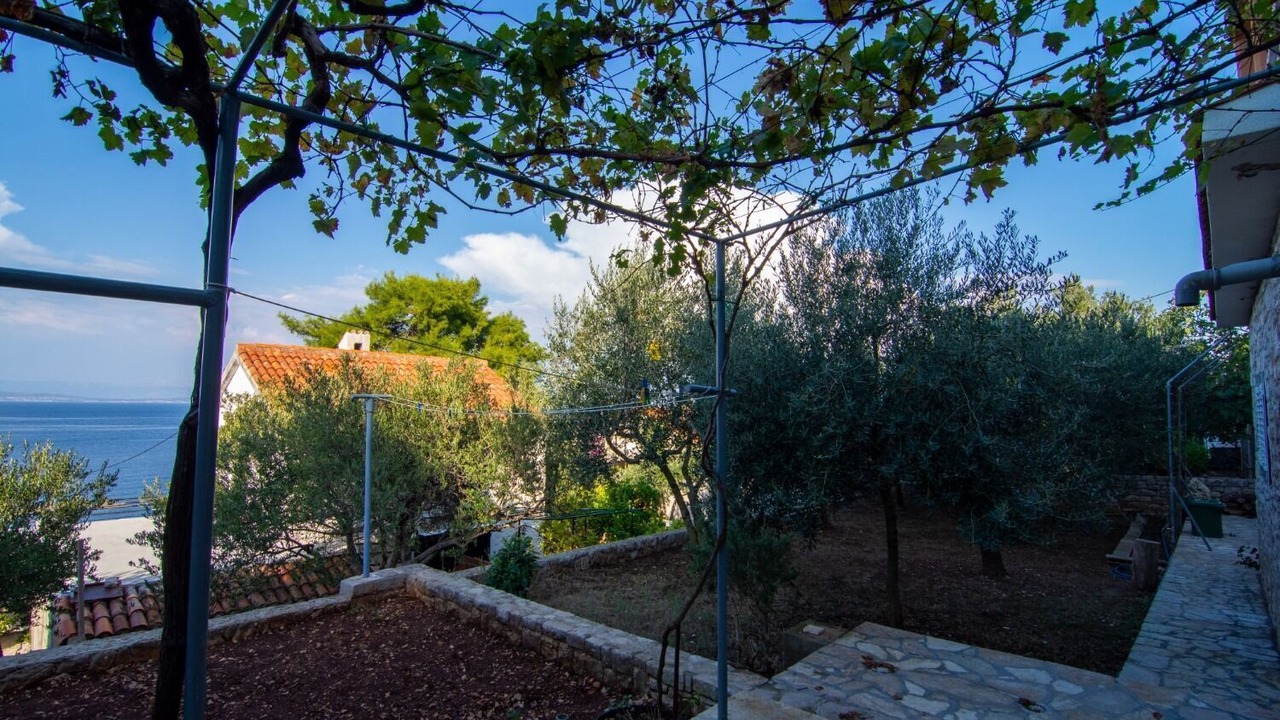 Photo of Outdoor in Stomorska