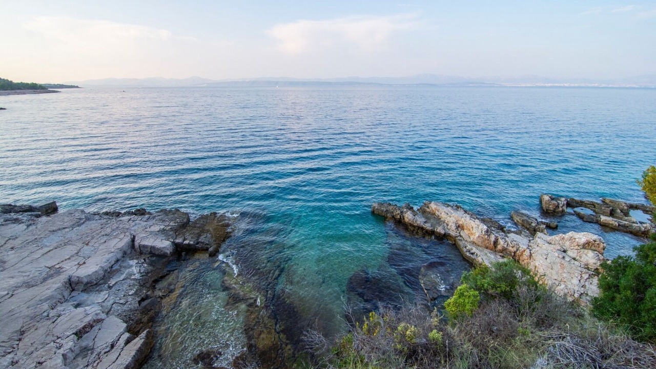 Photo of Others in Stomorska