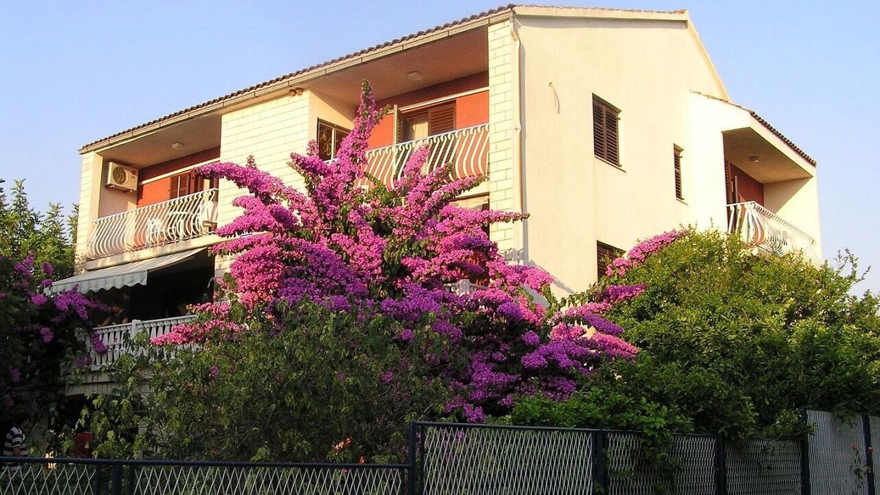 Photo of Outdoor in Loviste