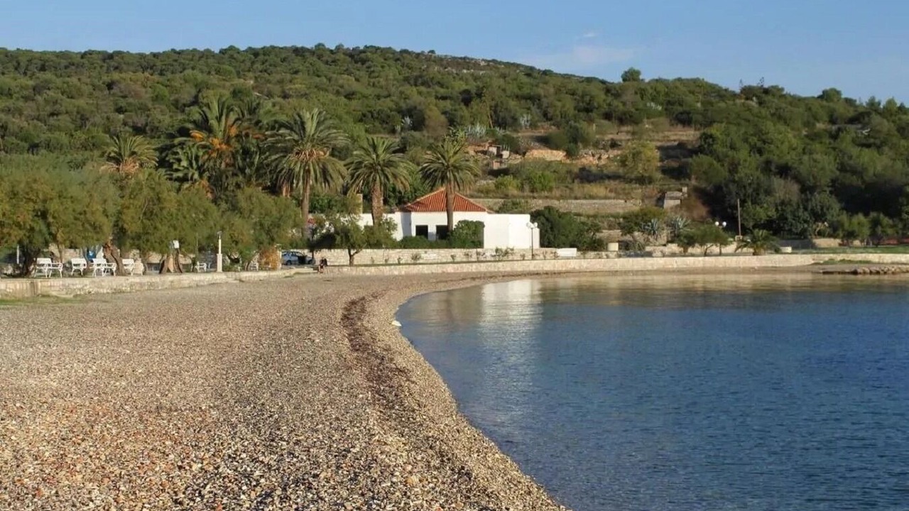 Photo of Others in Cove Rogacic